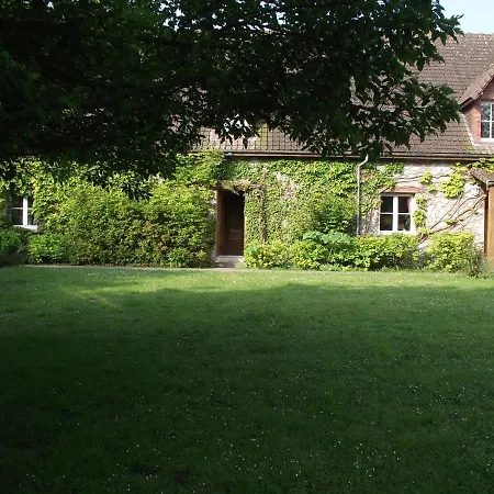 In Quend-plage Near Forest