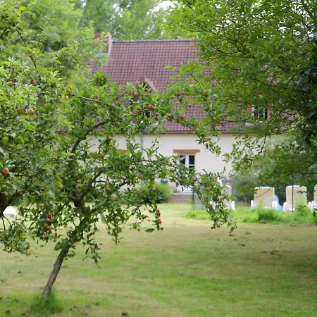 In Quend-plage Near Forest Ferienhaus