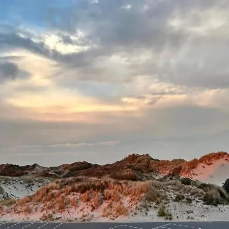 In Quend-plage Near Forest * Quend