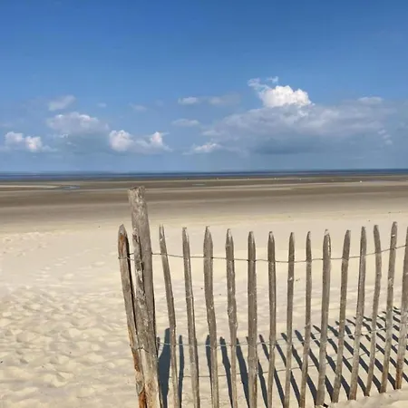 In Quend-plage Near Forest *