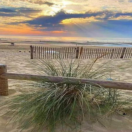 In Quend-plage Near Forest * Quend