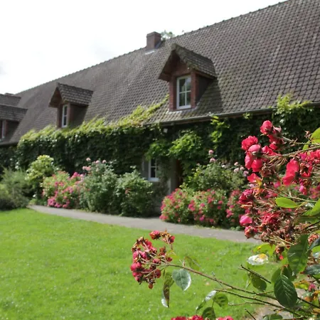 In Quend-plage Near Forest