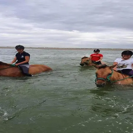 In Quend-plage Near Forest